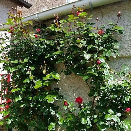 度假居 Maison Aux Portes Du Centre Historique De Avec 3 Et Garage *
