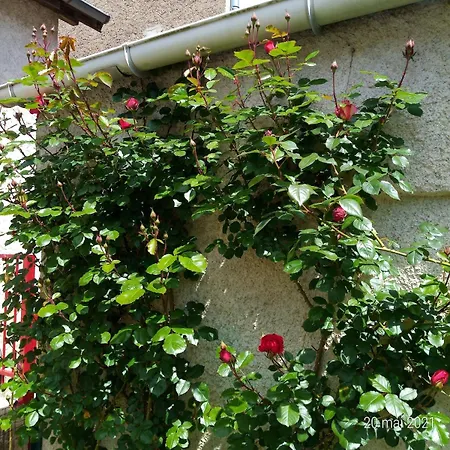 Le Refuge Du Drapeau Maison Avec 4 Proche Du Centre Historique