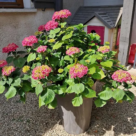 Le Refuge Du Drapeau Maison Avec 4 Proche Du Centre Historique Σπίτι διακοπών Ντιζόν