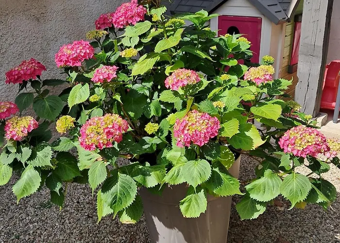 Le Refuge Du Drapeau Maison Avec 4 Proche Du Centre Historique 度假居 第戎